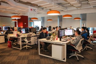 麦奇教育科技 硬核团队十年铸剑，创新不辍引领教育未来