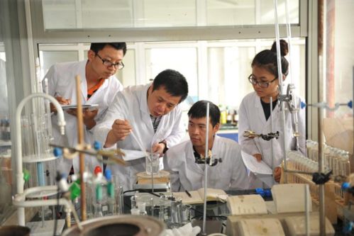 赓续钢铁血脉，不负时代之托 辽宁科技大学教育科技研发的非凡十年巡礼